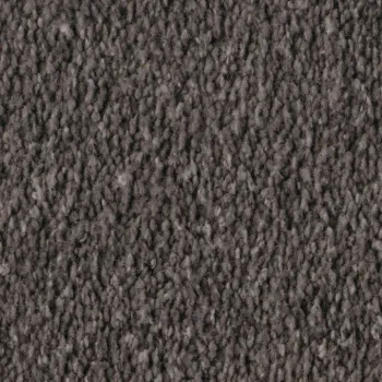 Vorwerk Alba 8L46 mokka – Draufsicht Velours Teppichboden 4 m breit